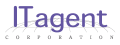 ITエージェント｜DXのためのIT、SaaS選定の代理人
